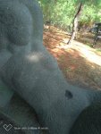 IMG-20200920-WA0000.jpg