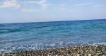 IMG_20200930_121955_compress4.jpg