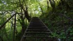 13-DSC_5229-2.jpg