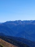 IMG_20201008_135354_compress76.jpg