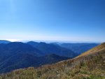 IMG_20201008_140235_compress3.jpg