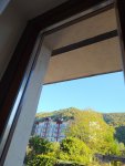 IMG_20201007_074644_compress31.jpg