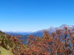 IMG_20201008_104915_compress77.jpg