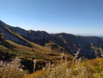 IMG_20201008_121417_compress27.jpg
