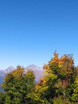 IMG_20201008_124319_compress17.jpg