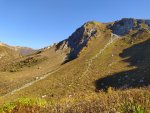 IMG_20201008_130433_compress48.jpg