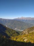 IMG_20201008_131047_compress98.jpg
