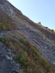 IMG_20201008_132003_compress22.jpg