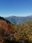 SAVE_20201007_162648_compress26.jpg