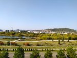 IMG_20201012_144431_compress30.jpg