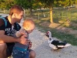 IMG_20201013_170606_compress12.jpg