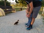 IMG_20201013_170447_compress8.jpg