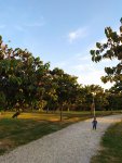 IMG_20201013_170331_compress1.jpg