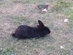 IMG_20201013_171712_compress22.jpg
