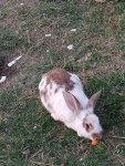 IMG_20201013_171742_compress70.jpg