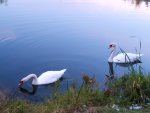 IMG_20201013_173652_compress77.jpg