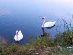 IMG_20201013_173657_compress27.jpg