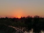IMG_20201014_173118_compress80.jpg