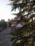 IMG_20201017_080705_compress64.jpg