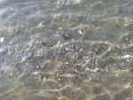 IMG_20201024_205121_compress70.jpg