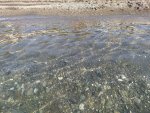 IMG_20201024_205133_compress2.jpg
