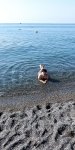 IMG_20201024_205229_compress18.jpg
