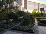 IMG_20201024_205455_compress9.jpg