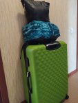IMG_20201005_155048_compress8.jpg