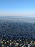 IMG_20200702_062903_compress22.jpg