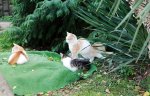 DSC04899-edit-small.jpg