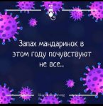 запах.jpg
