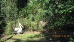 IMG_0620-min_compress47.jpg
