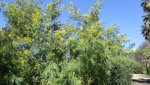 IMG_0650-min_compress70.jpg