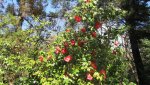 IMG_0680-min_compress16.jpg