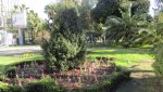 IMG_0691-min_compress80.jpg