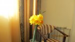 IMG_0607-min_compress93.jpg