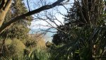 IMG_0696-min_compress91.jpg