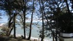 IMG_0692-min_compress87.jpg