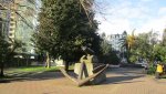 IMG_0701-min_compress48.jpg