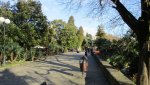 IMG_0695-min_compress43.jpg