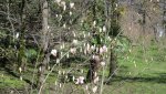 IMG_0660-min_compress12.jpg