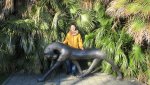 IMG_0699_compress36.jpg