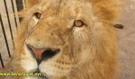 20201102_050954.jpg