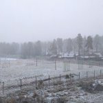 IMG_20201120_125147_resize_37.jpg