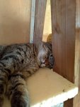 IMG-20201120-WA0002.jpg