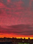 IMG_20201120_073711_compress47.jpg