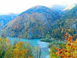 IMG_20201122_225507_resize_36.jpg
