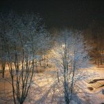 IMG_20201127_210836_333.jpg