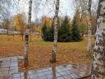 IMG_20201016_103055.jpg