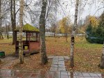 IMG_20201016_103050.jpg